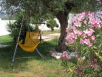 Relaxsessel im Schatten der Olive